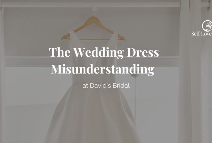 The wedding dress misunderstanding at davids bridal, a decorative header image featuring a classic photo of a wedding dress onits hanger in front of a window in a white room, letting the natural light hit the plain white, A-line wedding dress