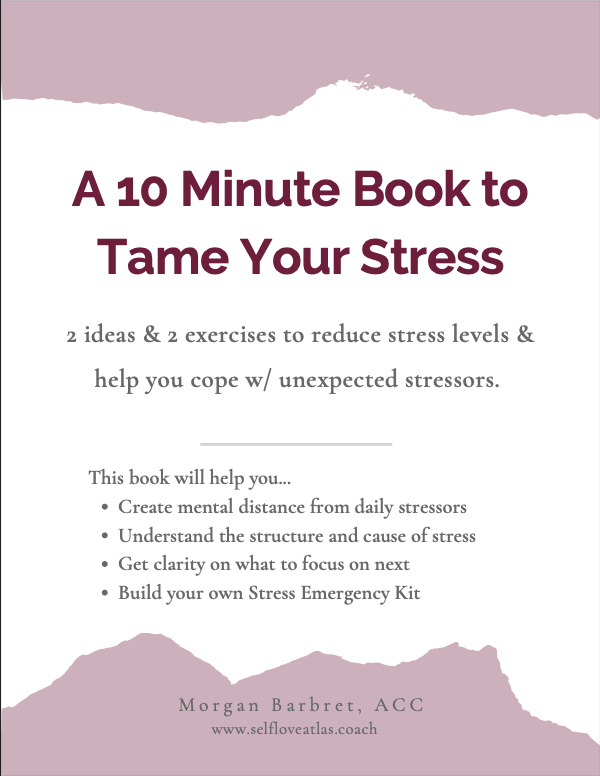 Cover page for the 10 minutes to tame your stress workbook, pink theme with burgundy title.